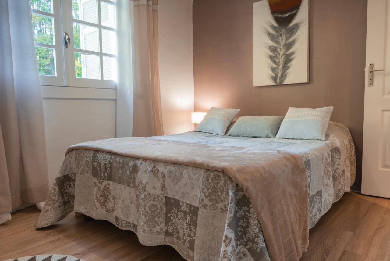 Apartmán Sur La Route Du Voile Meuble Hibiscus Salazie Exteriér fotografie